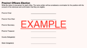 Example Precinct Leadership Ballot